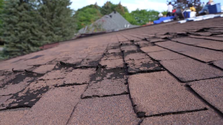 Best Roof Coating and Sealing  in Hiller, PA