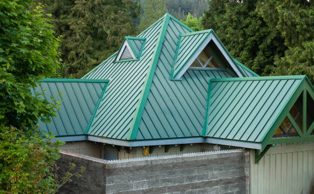 Best Roof Moss and Algae Removal  in Hiller, PA